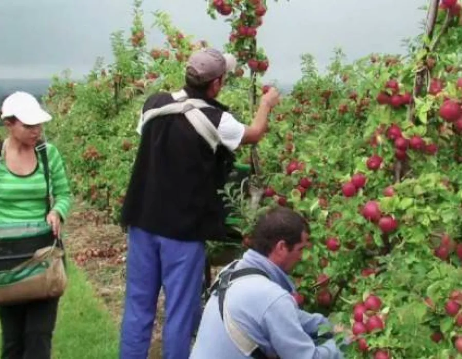 Foto Despagubiri pentru agricultori