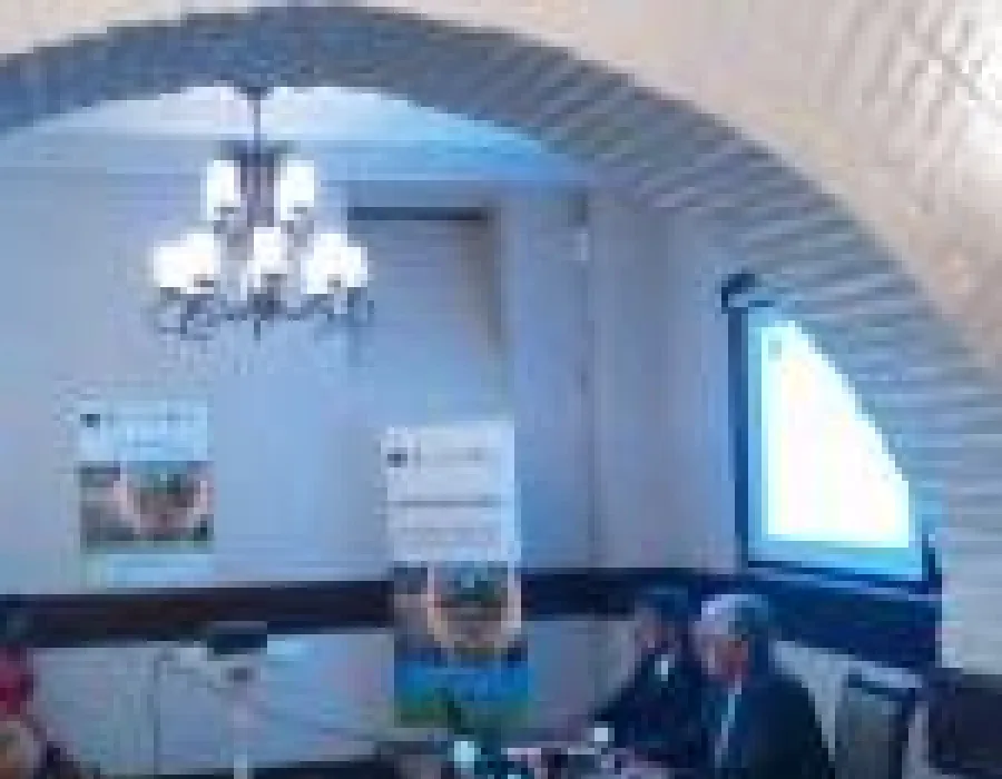 Foto Regularizarea paraului Raznic in zona localitatii Grecesti