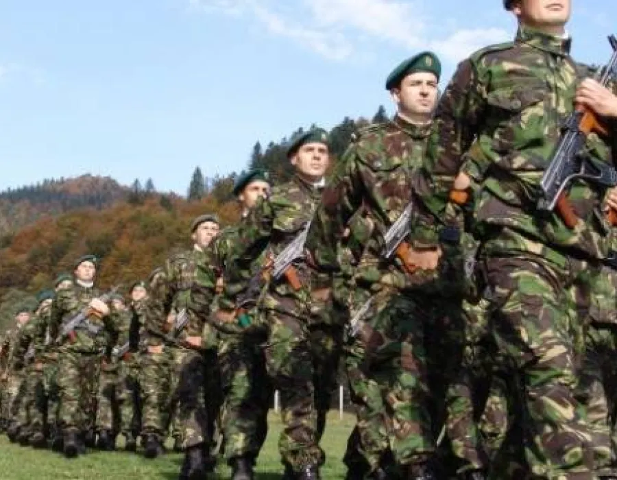 Foto Ministrul Afacerilor Interne, anunţ important despre înrolarea în armată a tinerilor români