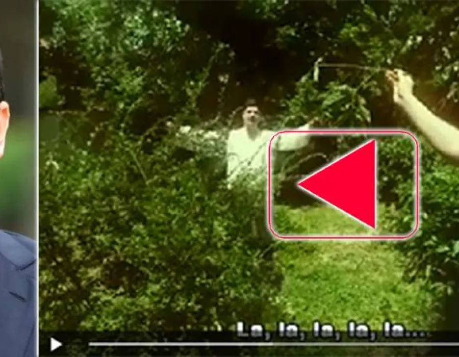 Foto Melodia asta-i hit – „Viorele, Viorele”