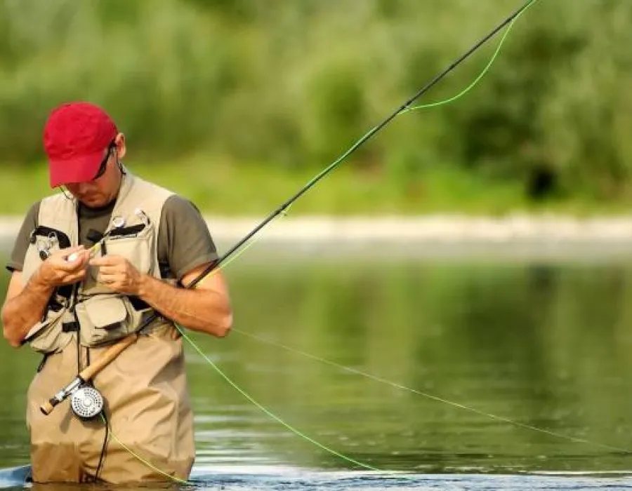 Foto Gata cu poveştile pescăreşti! Aplicaţiile care te ajută să prinzi mai mulţi peşti