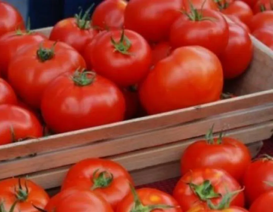 Foto Cum ne dăm seama dacă roşiile din piaţă au gust bun şi aromă