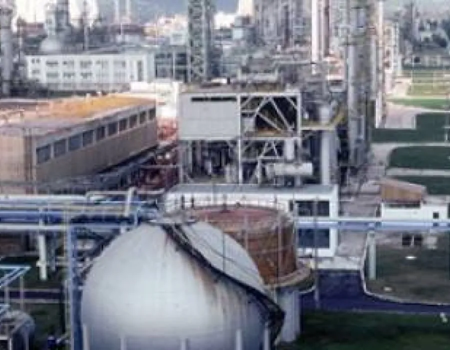 Foto Chimcomplex Borzeşti vrea Oltchim