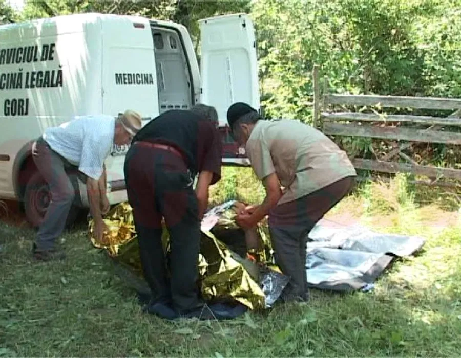 Foto Un gorjean a murit în timp se afla la coasă: A întărâtat un cuib de...