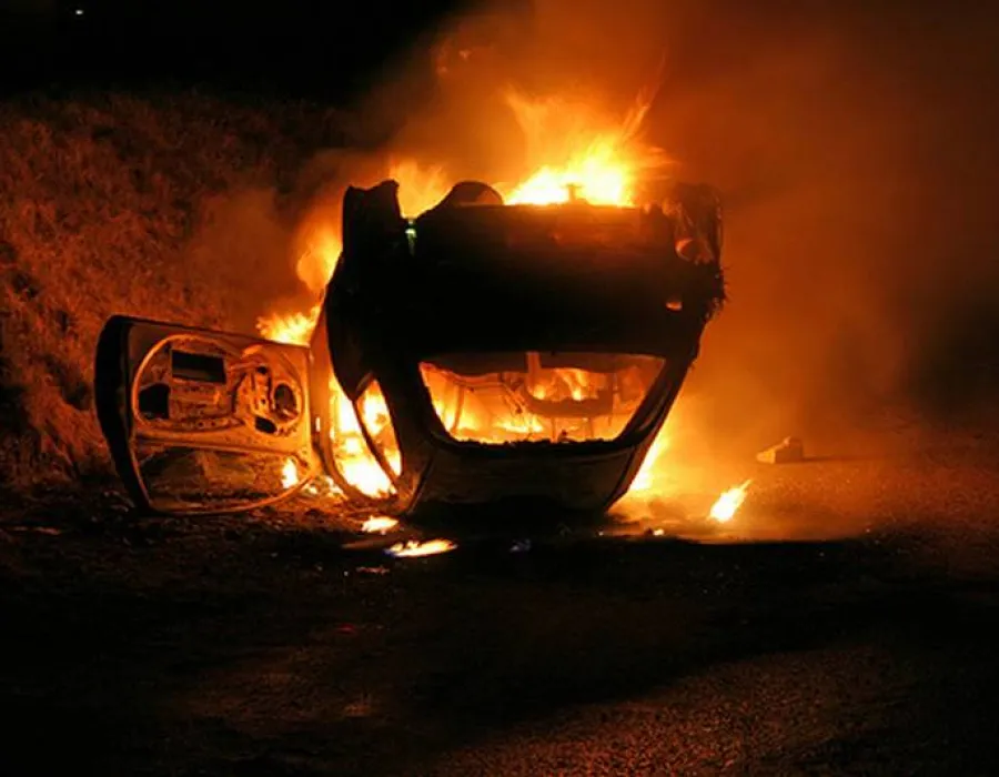 Foto Arşi de vii în autoturism