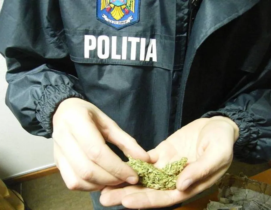 Foto Trimişi în judecată pentru trafic de droguri