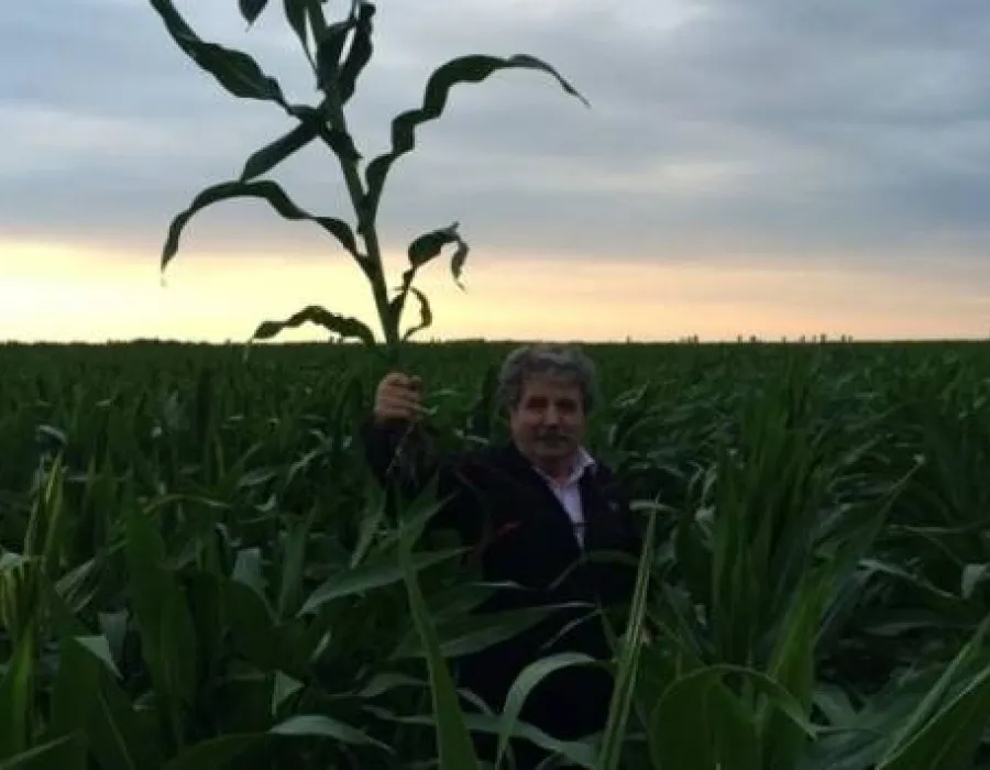 Foto Raport UE: Cum va fi anul agricol 2015 pentru România. Porumbul, floarea soarelui şi cartoful sunt în pericol