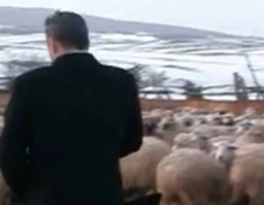 Foto Parlamentarii care şi-au început cariera ca tractorişti sau mecanici. Un deputat a luat BAC-ul la 42 de ani