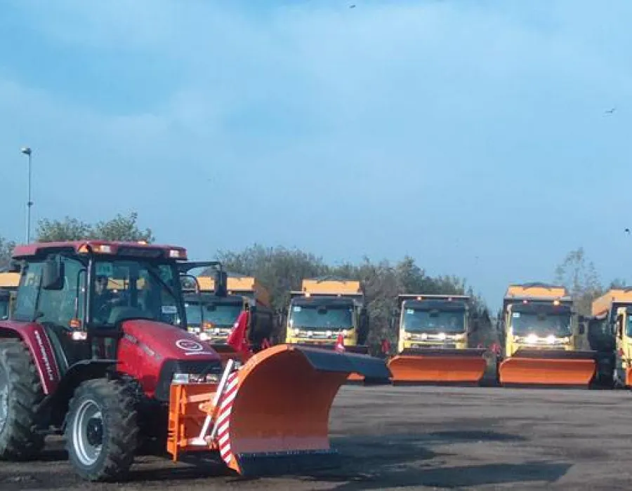 Foto La Craiova, vara se cumpara sanie