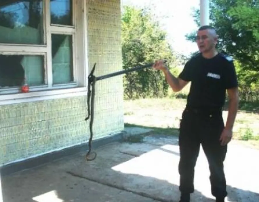 Foto Un şarpe de 2 metri a băgat în sperieţi călătorii CFR