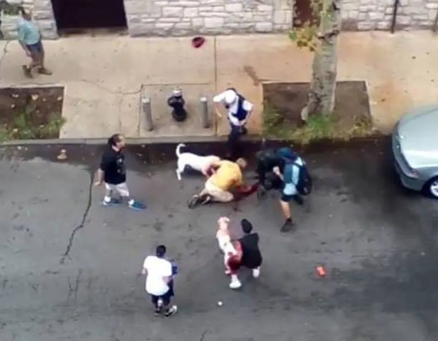 Foto VIDEO ŞOCANT: Doi câini rasa pitbull sfârşie un om în plină stradă