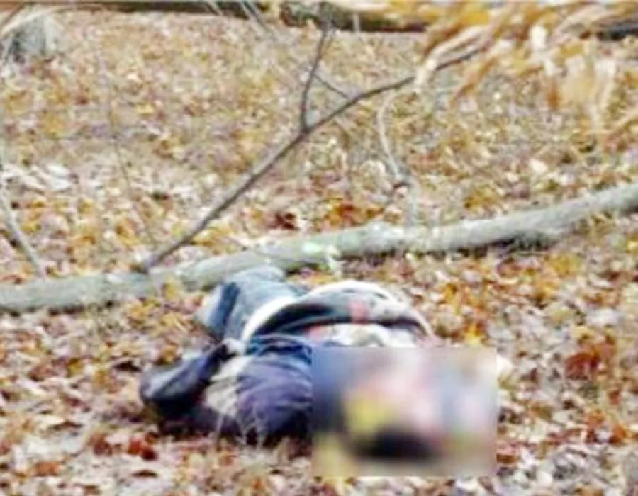 Foto TRAGEDIE la IONEŞTI: Bărbat mort după ce i-a căzut copacul în cap