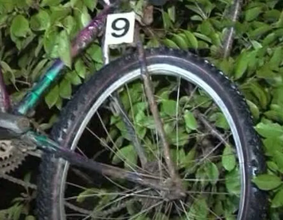 Foto TRAGEDIE în Gorj: Un biciclist, OMORÂT de un şofer grăbit