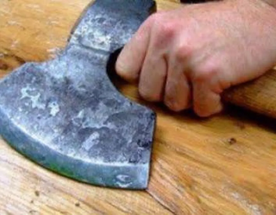 Foto A vrut să-şi omoare bunica şi mătuşa