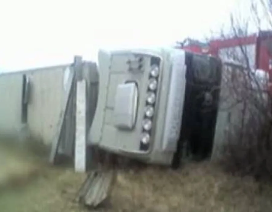 Foto VIDEO / Un TIR cu animale s-a răsturnat în judeţul Dolj. Sute de oi au murit