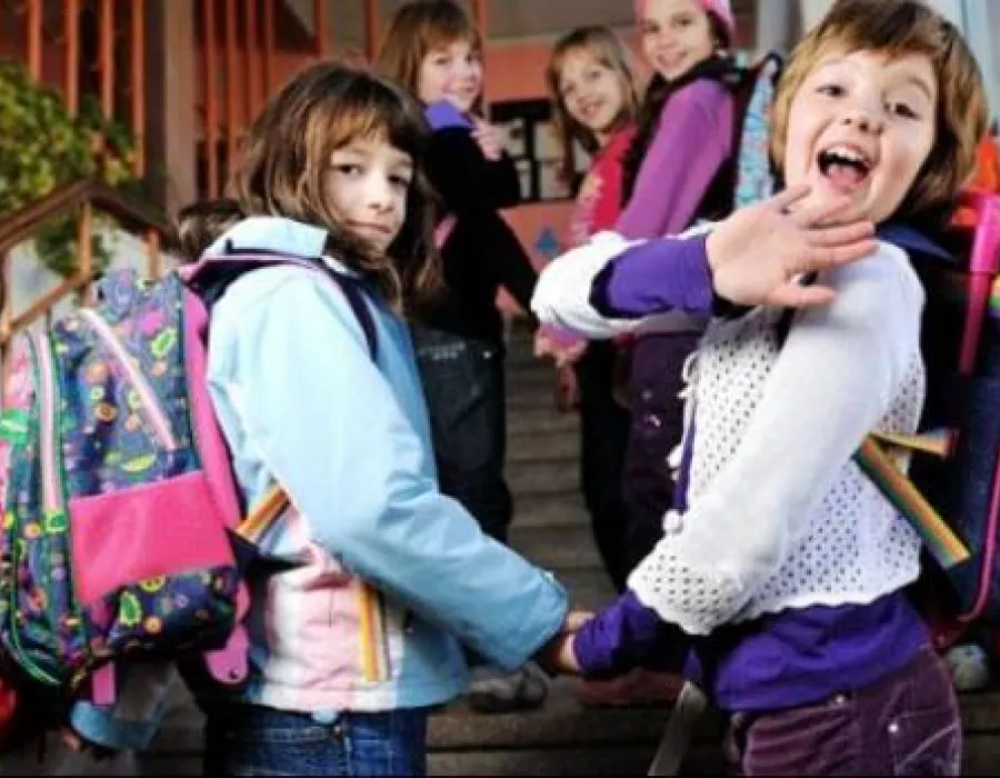 Foto SIMULARE EVALUARE NATIONALA 2016: Ce se întâmplă cu cursurile de la celelalte clase