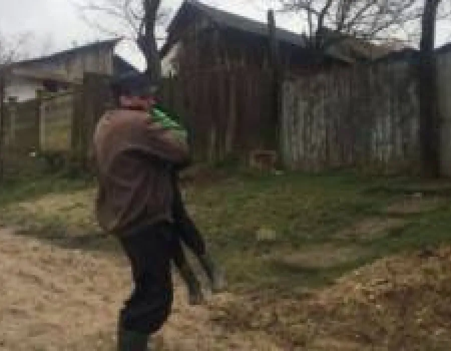Foto Localnicii unui sat din Dolj, prizonierii propriilor gospodării. Oamenii își duc copiii la școală în brațe din cauza gropilor și a noroiului (FOTO)