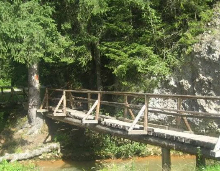 Foto VIDEO / Se întâmplă în România. Un pod din Vâlcea a fost reparat de CNADNR cu ... crengi