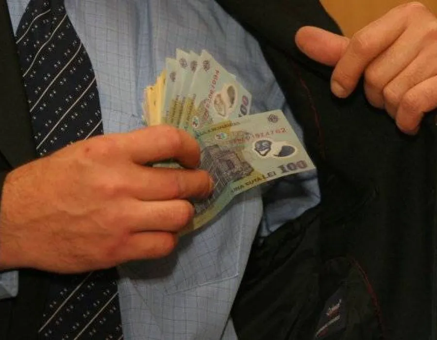 Foto Bani grei pentru tăiat frunză la câini! Cu cât sunt plătiţi 42 de inspectori guvernamentali