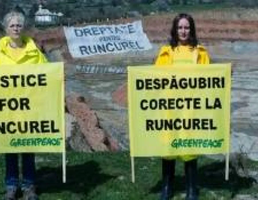 Foto (VIDEO) Greenpeace a dat în judecată Guvernul pentru exproprierile care urmează să aibă loc în satul Runcurel, județul Gorj