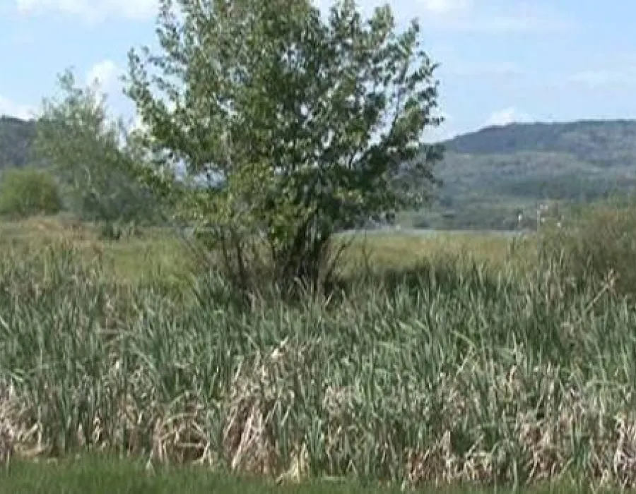 Foto Cadavrul unui bărbat din Mehedinţi a fost găsit după şase luni chiar de principalul suspect