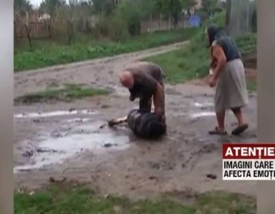 Foto VIDEO / Un tânăr din Gorj a fost bătut în plină stradă. Martorii au filmat totul