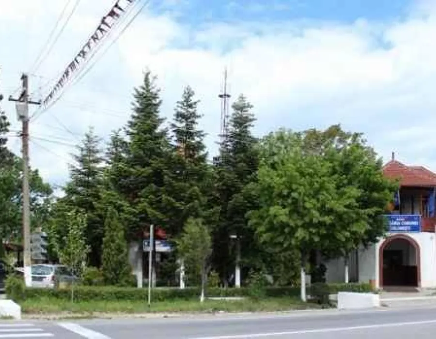 Foto Ambiţia de a deveni viceprimar l-a costat căsnicia. De ce a fost nevoit să divorţeze un ales local