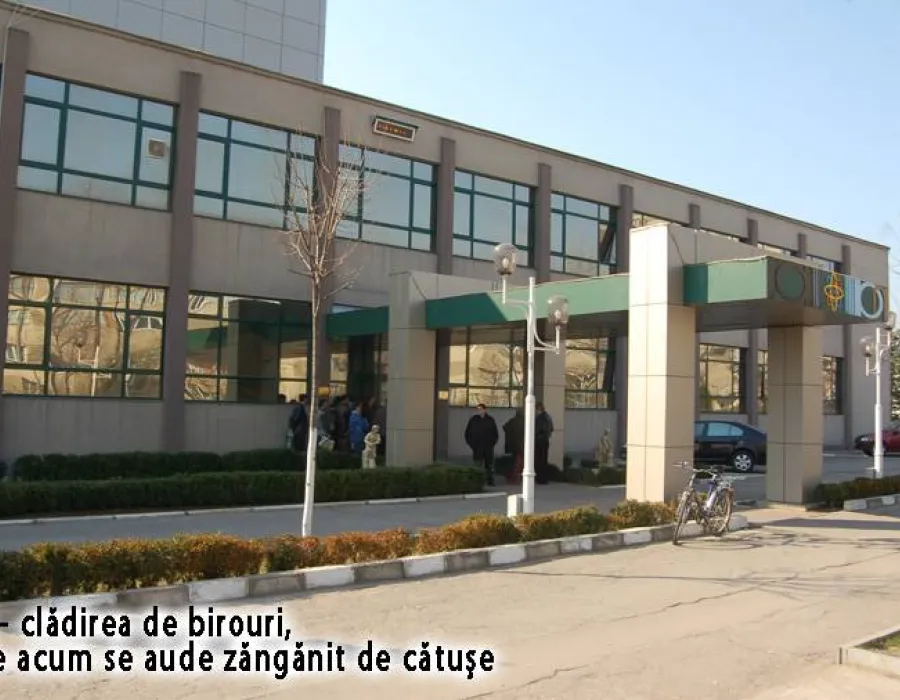 Foto La RAAN Încep să cadă capete de directoraşi