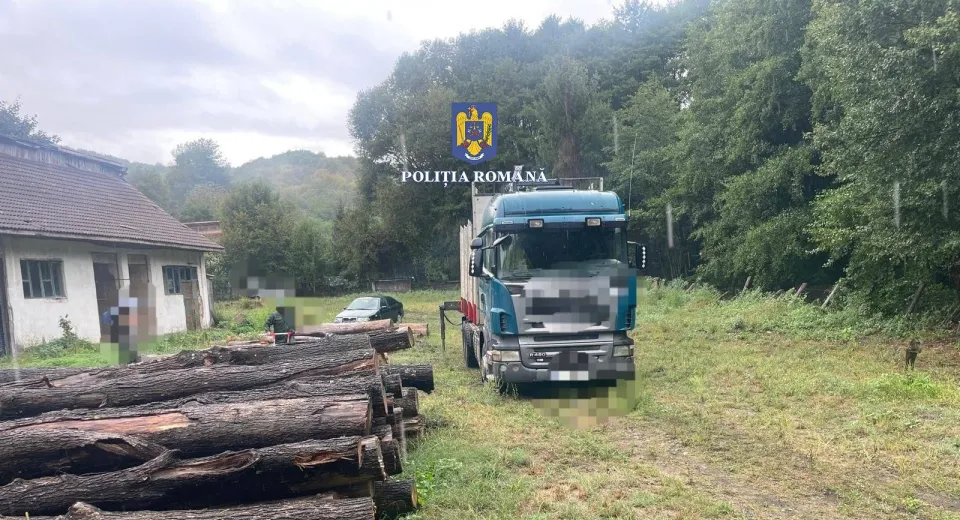 Foto Mehedinți: Transport ilegal de lemne, depistat de polițiști