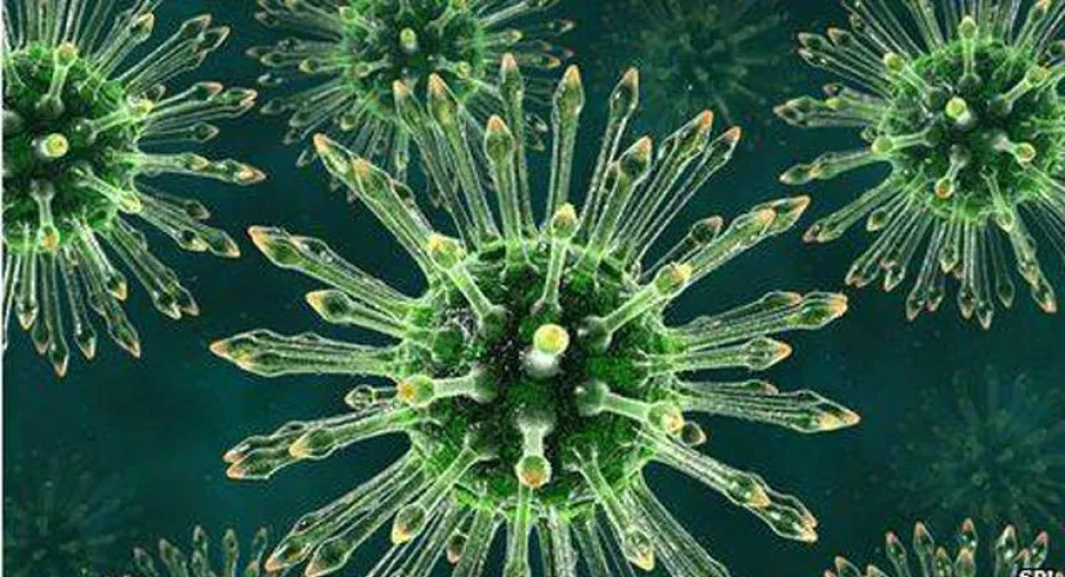 Foto Cercetătorii au descoperit anticorpii-minune ce pot învinge HIV