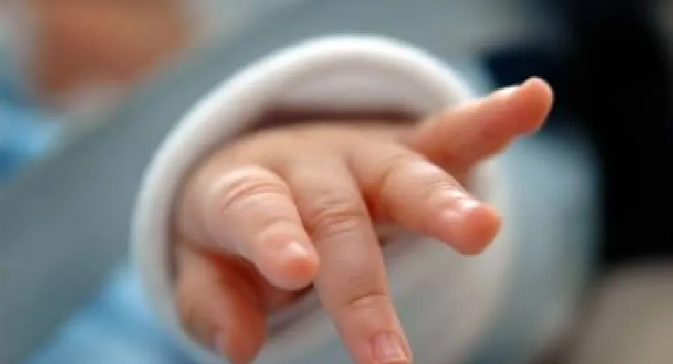 Foto Programul FIV ar putea ajunge la 12.000 de beneficiari în 2026