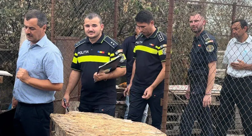 Foto GORJ: Adăpost pentru câini, găsit fără autorizație sanitar-veterinară 