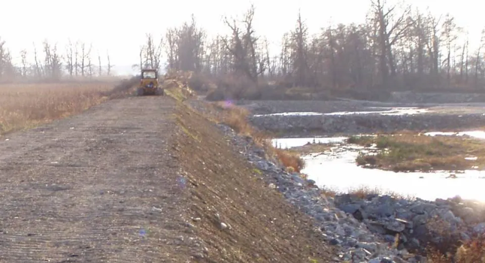 Foto Dăunătorii de pe digurile de la Jiu, exterminaţi
