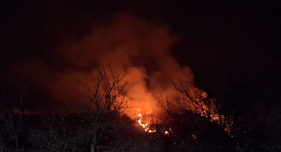 Foto GORJ: Incendiu devastator la Novaci. A ars pădurea  