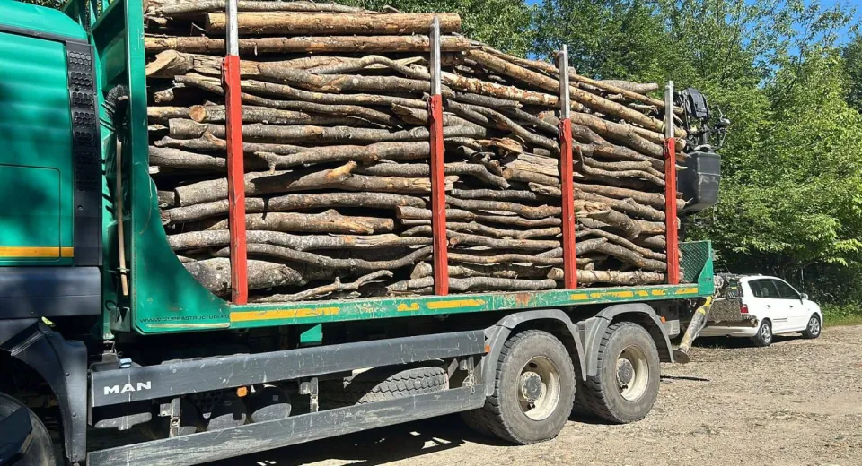 Foto GORJ: Transport ilegal de lemne 