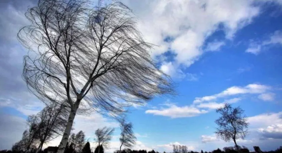 Foto Cod portocaliu de vânt puternic în sud-vestul și sudul țării