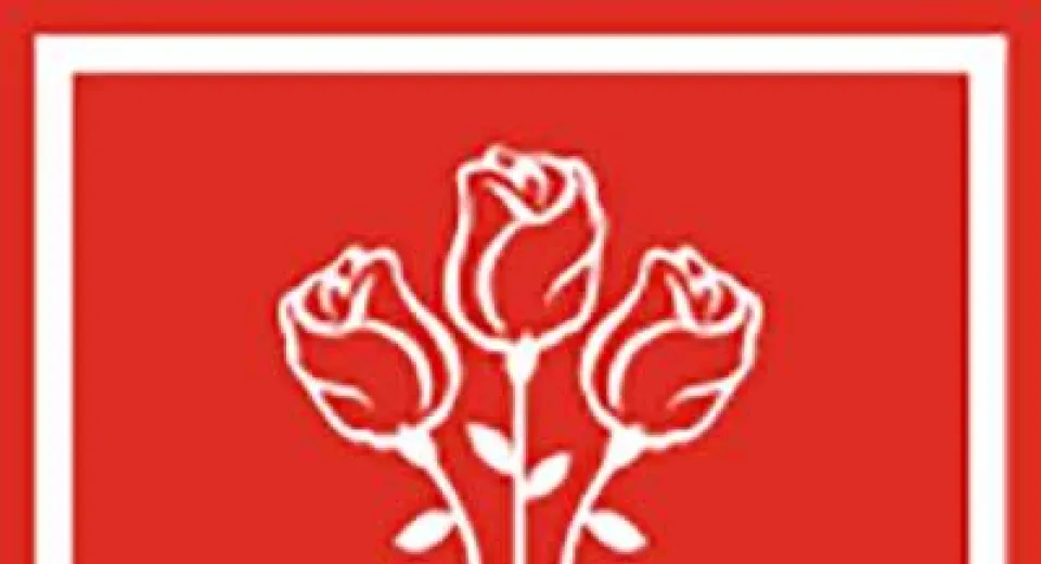 Foto PSD propune scutirea mamelor aflate în concediu de creștere a copilului de la plata CASS