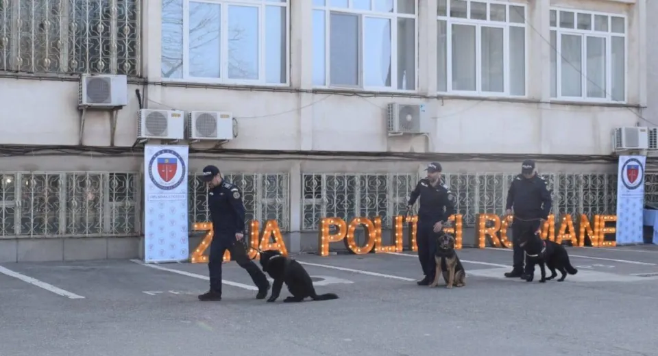 Foto Câinii de poliție și legătura de neînfrânt cu oamenii legii 