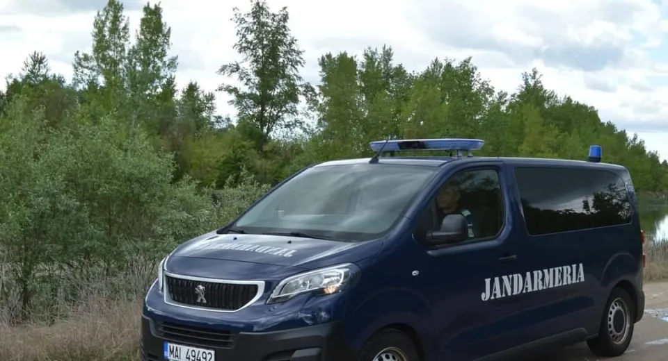 Foto  Un urs a distrus trei stupi în grădina unei case din județul Gorj 
