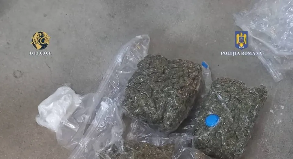 Foto Mehedinți: Arestat preventiv pentru trafic de droguri 