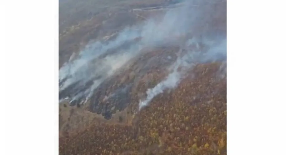 Foto MEHEDINȚI: Incendiu devastator la Șvinița 