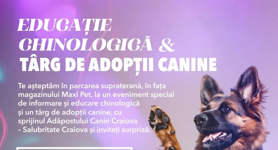 Foto Adopții canine la Promenada Mall 