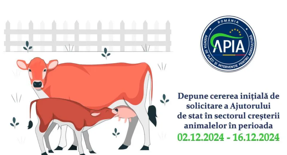 Foto Ajutor financiar pentru crescătorii de animale: APIA deschide perioada de depunere a cererilor pentru 2025