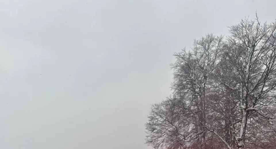 Foto Filtru de poliție la urcare spre Rânca. Viscol și ninsori abundente 