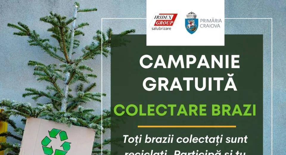 Foto Colectare gratuită a brazilor la Craiova 