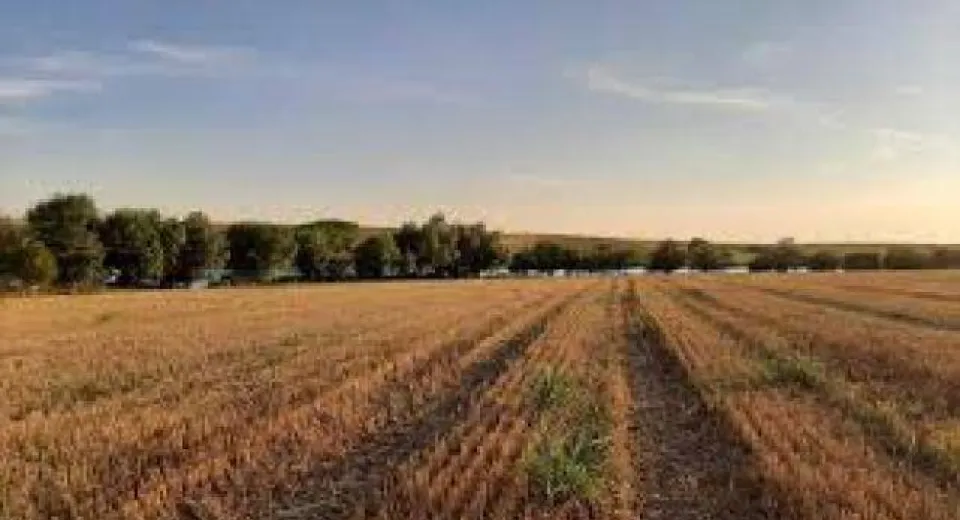 Foto Tranzacții record în Dolj. Județul cu cele mai multe terenuri agricole vândute