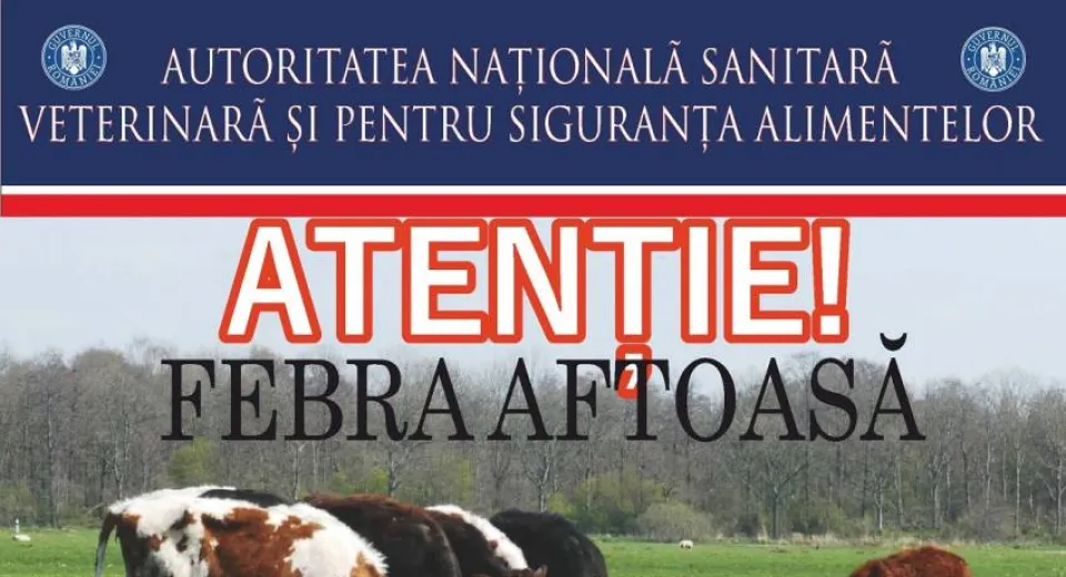 Foto ANSVSA: România întărește măsurile de protecție împotriva febrei aftoase