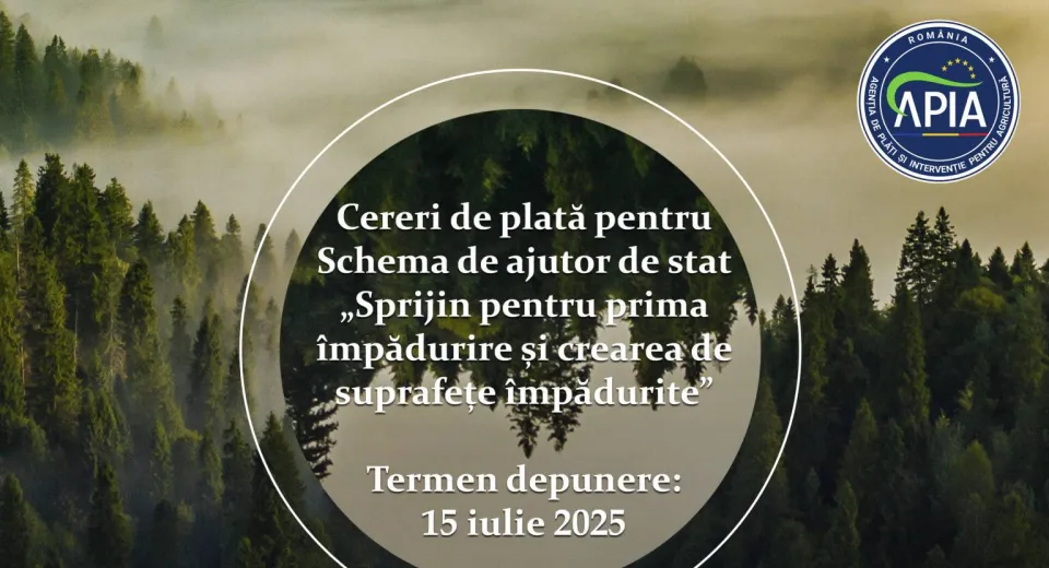 Foto APIA a deschis sesiunea de depunere a cererilor de plată pentru sprijinul acordat lucrărilor de împădurire