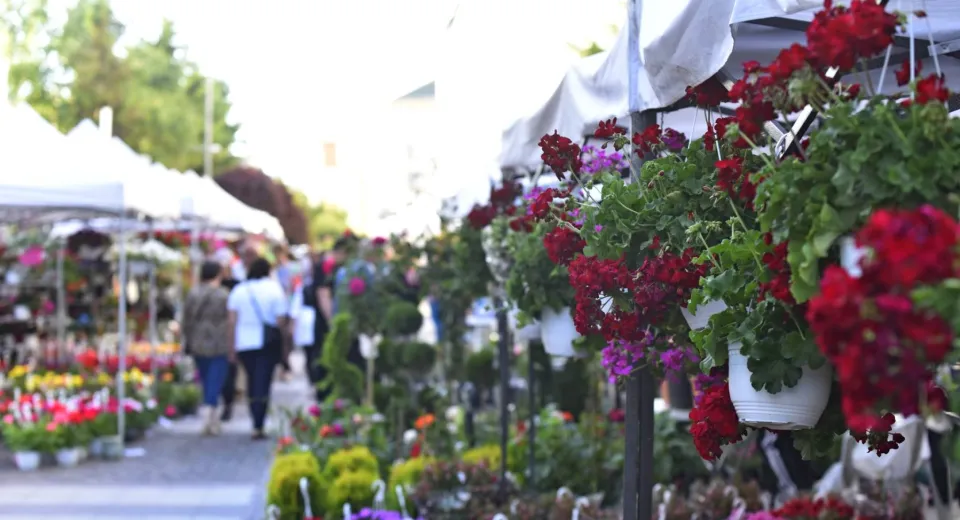 Foto Flori și artizanat floral, la „ExpoFlora Craiova 2025”. Înscrieri până pe 16 mai