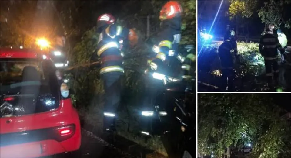 Foto Copaci căzuți și gospodării inundate, seara trecută, în Dolj 
